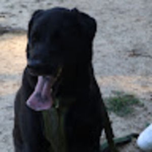 Meet your Posher, Alana